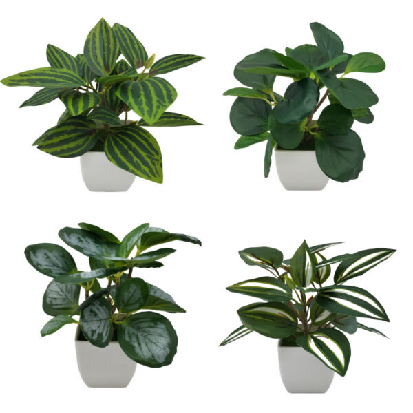 Living Room Home Decoration Ornaments Bonsai Decoration - Image 8