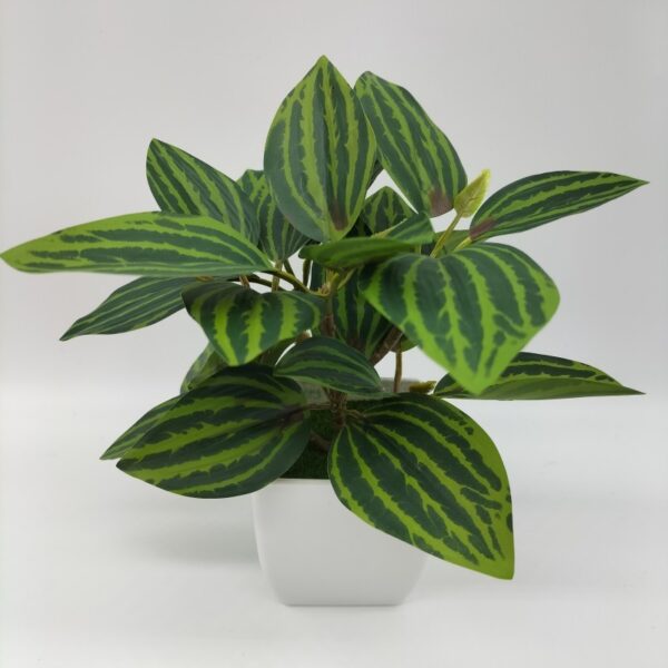 Living Room Home Decoration Ornaments Bonsai Decoration - Image 5
