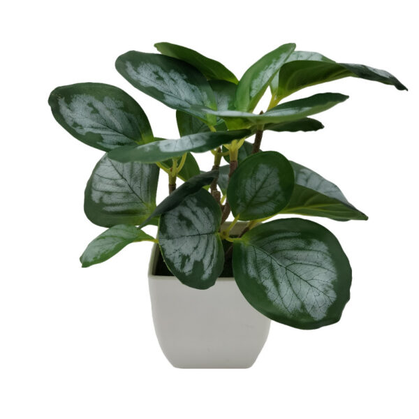 Living Room Home Decoration Ornaments Bonsai Decoration - Image 3
