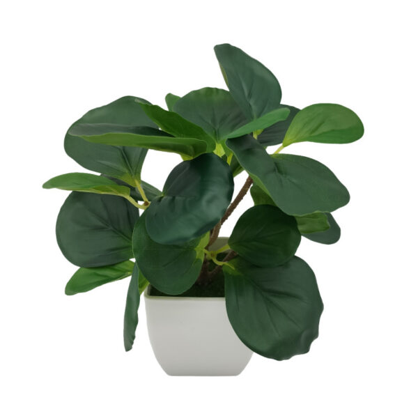 Living Room Home Decoration Ornaments Bonsai Decoration - Image 7