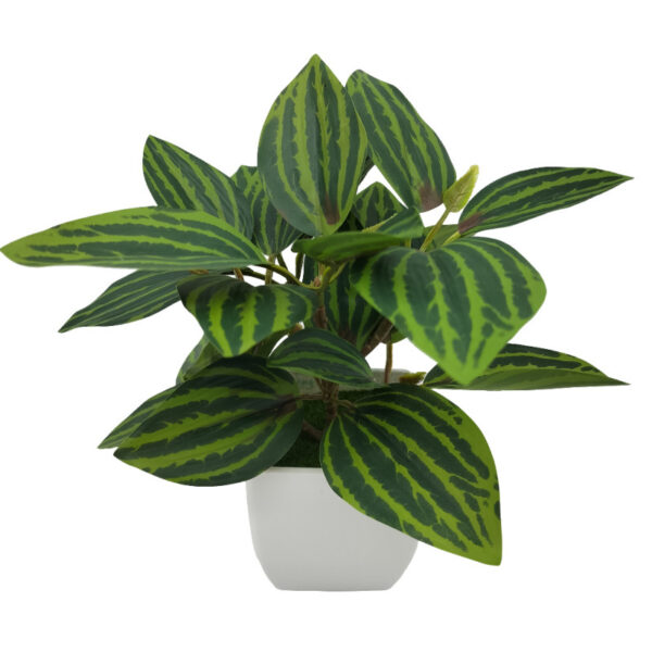 Living Room Home Decoration Ornaments Bonsai Decoration - Image 9
