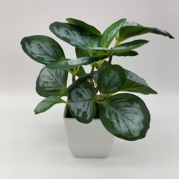 Living Room Home Decoration Ornaments Bonsai Decoration - Image 2